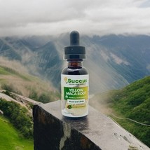 Golden Maca Root Tincture (Highly Potent) - £10.65 GBP