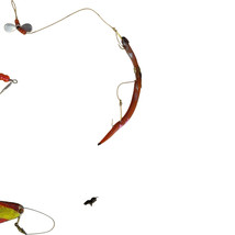Item image 11