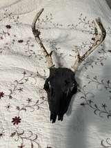 Custom Deer Antlers - $150.00