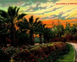 California Sunset Landscape In Wintertime UNP DB Postcard E2 - £2.79 GBP