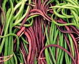 Red And Green Mix Yard Long Bean Seeds 2 Colors Pole Asian Vegetable Seed  - £4.68 GBP