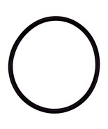 Pentair R172009 Cap O-Ring Replacement Pool and Spa Filter and Feeder - $126.34 MXN