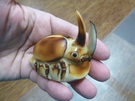 (TNE-HOR-444-B) Beetle bug TAGUA NUT Figurine VEGETABLE BEETLES - $33.13