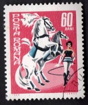 Romanian Circus Horses - $4.09 CAD