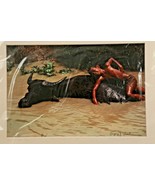 Gregory Lawler Photograph 11/200 Buffalo Boy Phuket, Thailand 16” x 20” ... - $102.62 CAD