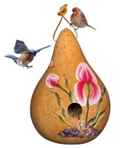 BLOOMING IRIS GOURD BIRDHOUSE - Amish Hand Painted in 3 Colors - £42.57 GBP