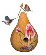 BLOOMING IRIS GOURD BIRDHOUSE - Amish Hand Painted in 3 Colors - $73.49 CAD