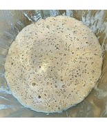 SOURDOUGH STARTER yeast FRONTIER 100 YR old VERY STRONG/ACTIVE extra sou... - $7.72