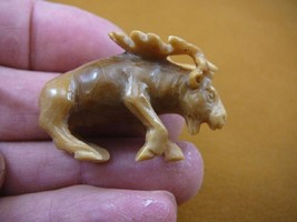 (tb-elk-3) little tan buck Elk Tagua NUT palm figurine Bali carving Moos... - £38.55 GBP