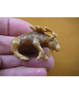 (tb-elk-3) little tan buck Elk Tagua NUT palm figurine Bali carving Moos... - £38.89 GBP