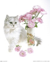 Never Framed 8 x 10 Wall Art Photo Print and Decor - &quot;White Cat with Flowers&quot; - £5.57 GBP
