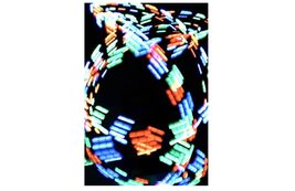 Item image 13
