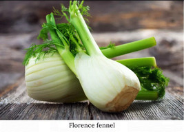 ArfanJaya Fennel Finocchio Florence Variety 200+ Organic Seeds Heirloom ... - £6.56 GBP
