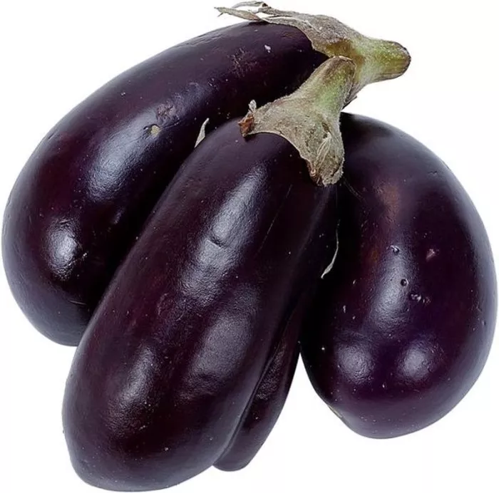 Black Beauty Eggplant Seed - Heirloom Purple Aubergine Seeds  - $7.26