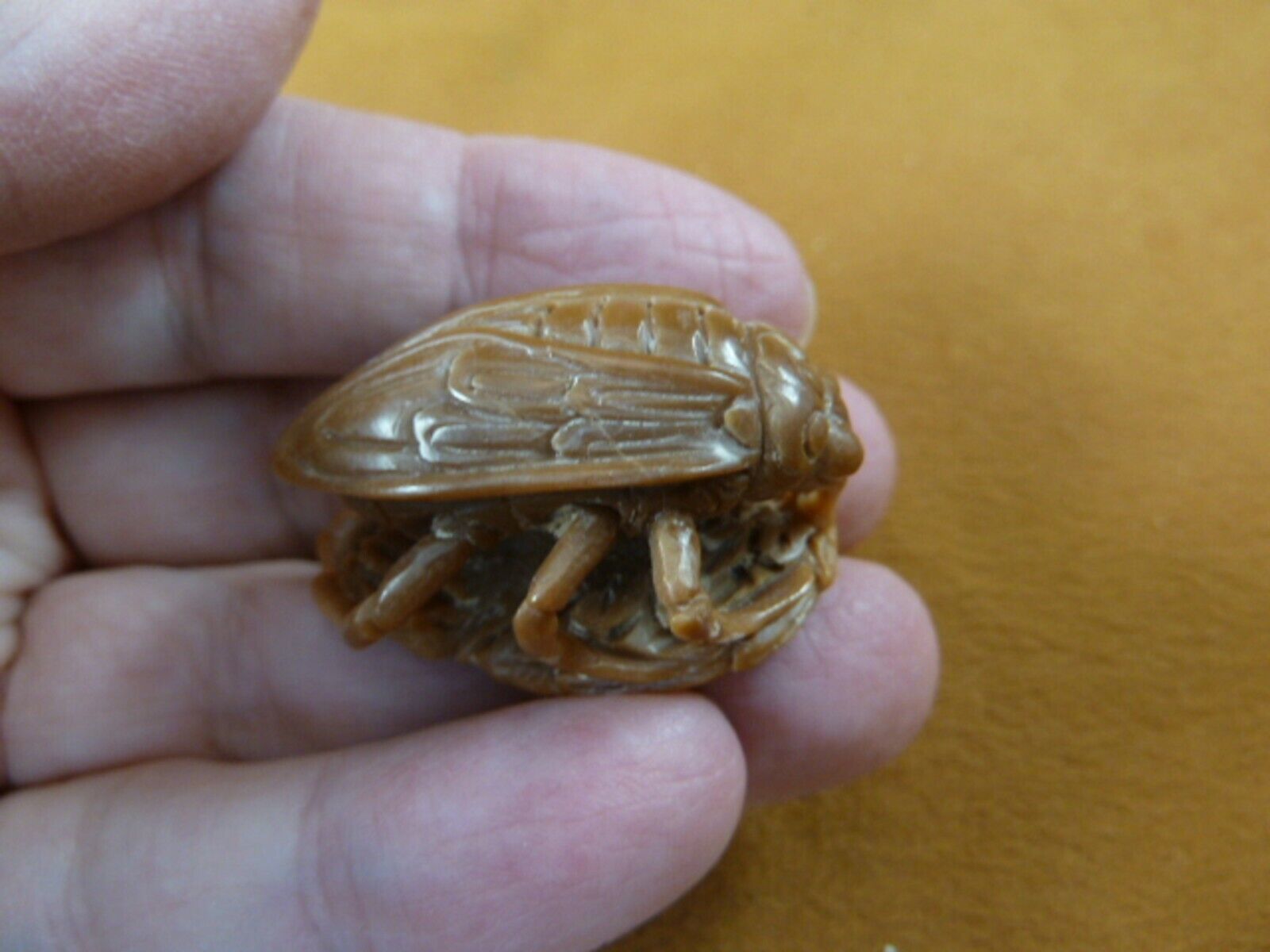 (tb-ins-4-1) tan House Fly Tagua NUT figurine Bali detailed insect carvi... - $35.76