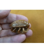 (tb-ins-4-1) tan House Fly Tagua NUT figurine Bali detailed insect carvi... - $35.76