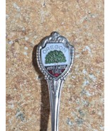 OREGON MYRTLEWOOD TREE - Souvenir Spoon - $91.60 MXN