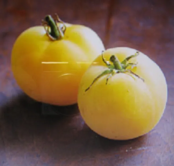 Peach Tomato Seeds - $6.98