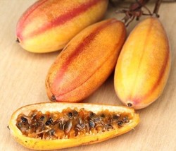 HS Banana Passionfruit, Passiflora Mollissima Passion Fruit Flower Seed ... - $10.34