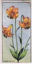 Cowan Co Toronto Card Turk&#39;s Cap Lily Wild Flowers Of Canada - £3.93 GBP