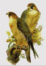 Pepita needlepoint kit: Peregrine Falcon, 6&quot; x 10&quot; - $50.00+