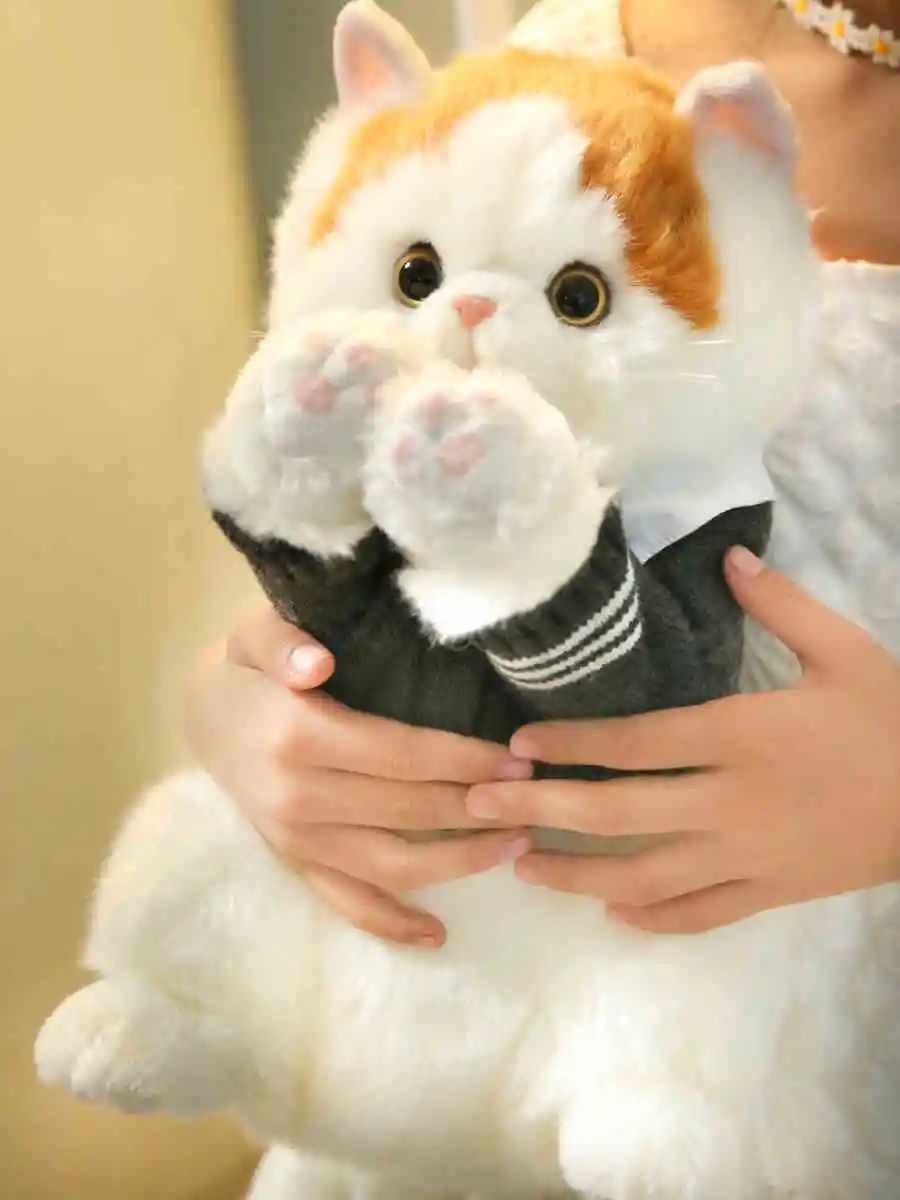 Japanese Gentleman Fat Orange Cat Plush Toy British Short Simulation Kitten Pet - £159.17 GBP