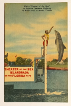 Theater of the Sea Porpoise Dolphin Islamorada FL Linen Curt Teich Postc... - $4.99