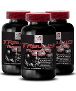 Natural Boost - TRIBULUS TERRESTRIS EXTRACT - Energizing Power 3 Bottle ... - $69.62 CAD
