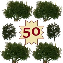 50 Rare Lycopodium Club Moss Boughs Fireplace Mantel Swag Christmas Craft Supply - £50.70 GBP