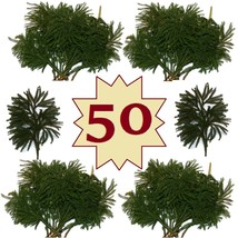 50 Rare Lycopodium Club Moss Boughs Fireplace Mantel Swag Christmas Craft Supply - £51.75 GBP