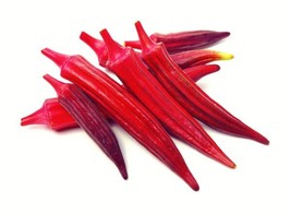 Fresh Red Burgundy Okra Seeds 100 Heirloom Seeds Per Packet Non Gmo Seeds Botani - $17.98