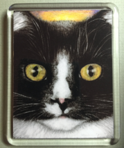 Cat Art Acrylic Large  Magnet - Homer Close - $8.00