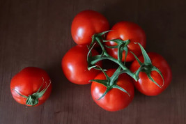 MBK 50 Seeds Cold Set Tomato Tomatoe Vegetable Bulk Seeds - $13.09