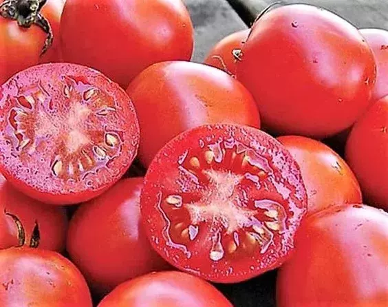 KS Siberian Tomato Non Gmo Greenhouse Suppliers Planting 120 Seeds  - $9.59