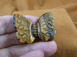 (Y-BUT-576) little BUTTERFLY gem GOLDEN BROWN TIGERS EYE stone figurine ... - $284.81 MXN