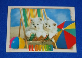 **Brand New** Adorable Florida Kittens On A Beach Chair Postcard Beaches Ball - £3.13 GBP