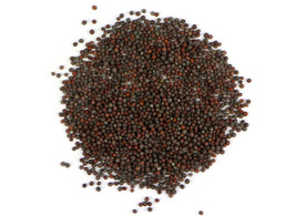 Organic Brown Mustard Seeds 2 Grams Fresh Garden USA SELLER - £14.23 GBP