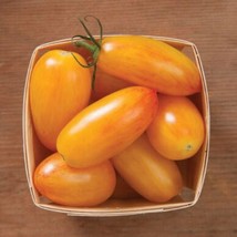 USA Seller Fresh 10 Organic Blush Tomato Seeds Grown In Artisan Tasty Ch... - £11.38 GBP