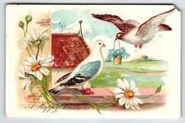 Christmas Postcard Raphael Tuck Pigeon Birds Daisies Flowers 1905 Undivided Back - £5.20 GBP