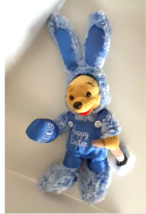 Walt Disney World Easter Winnie the Pooh Bunny 2005 Plush Doll NEW