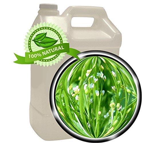 Crambe Abyssinica Seed Oil -1 gallon(128oz)- 100% PURE& Natural, Skin Anti-aging