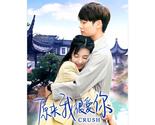 Crush (2021) Chinese Drama - $68.00