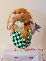 Cottondale Bunny in Basket Plush - Green - £4.91 GBP