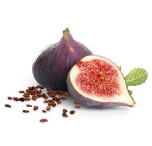 30+ Fig Tree Seeds (Ficus carica), Sweet Fruit Shrub - USA Seller Free S... - $3.50