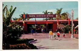 San Diego Zoo Entrance Flags Palms California CA Mike Roberts UNP Postcard 1960s - £3.73 GBP