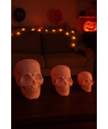 Spooky Skull Oddity Creepy Horror Crafting Halloween For Painting Gifts ... - €13,12 EUR+