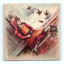 Victorian Trade Card 1800&#39;s Girl Sitting Holding A Kitten Birds Holly Be... - £7.11 GBP