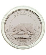 Moneda De Plata Proof De Oso Polar De $8 Dólares De Canadá 2013 Con Caja... - $156.50