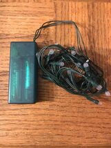 Mini Christmas Lights - $18.69