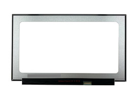 NE173QHM-NY1 V8.0 17.3&quot; QHD 165Hz LED LCD Screen Display 40 Pin - $148.51